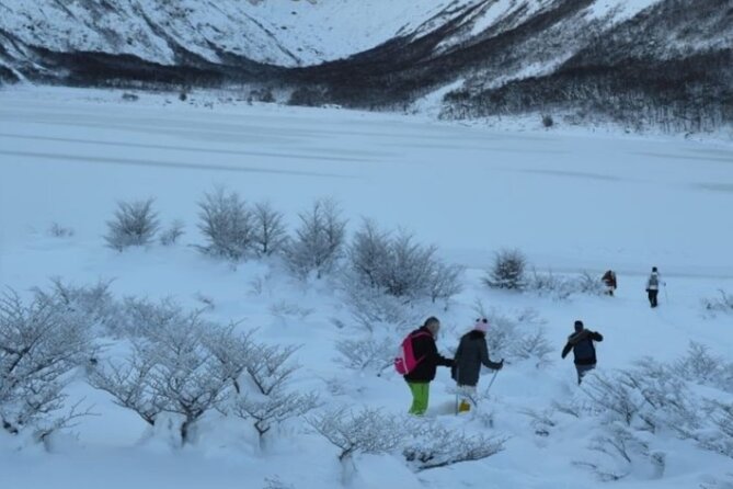 Ushuaia: Full Day Snow: Sledding With Huskies Snowmobile 4x4 - Snowshoe Walk Through the Landscape