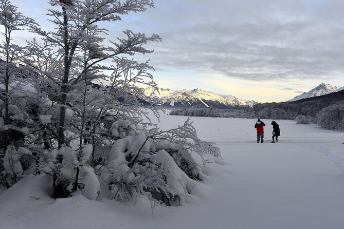Ushuaia: Full Day Snow: Sledding With Huskies Snowmobile 4x4 - Husky Sleigh Ride Experience