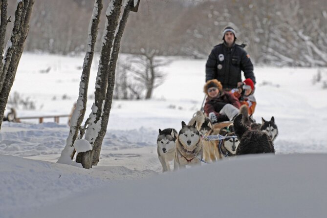 Ushuaia: Full Day Snow: Sledding With Huskies Snowmobile 4x4 - Navigating the Snow-Covered Terrain