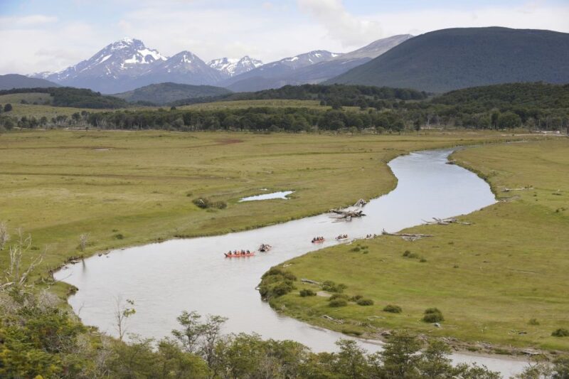 Ushuaia: Gable Island and Penguin Colony With Canoeing - Wildlife and Nature Experience