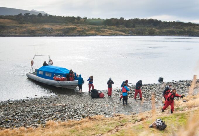 Ushuaia: Gable Island and Penguin Colony With Canoeing - Group Size and Exclusions