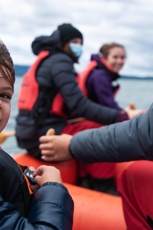 Ushuaia Kayak: Gable Island & Penguin Colony With Lunch - Key Points