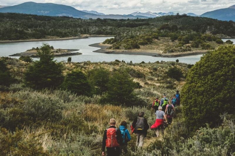 Ushuaia Kayak: Gable Island & Penguin Colony With Lunch - Customer Reviews