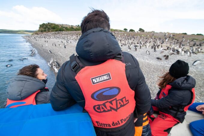 Ushuaia Kayak: Gable Island & Penguin Colony With Lunch - Dietary Accommodations