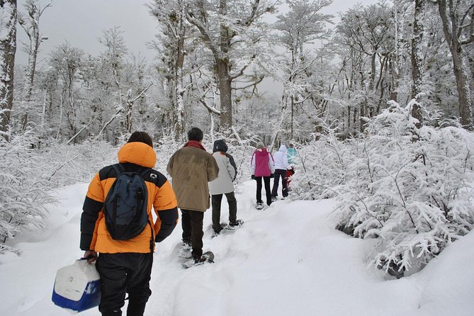 Ushuaia Night Adventure: Snowshoeing and Snowmobiling - Transportation and Pickup Details