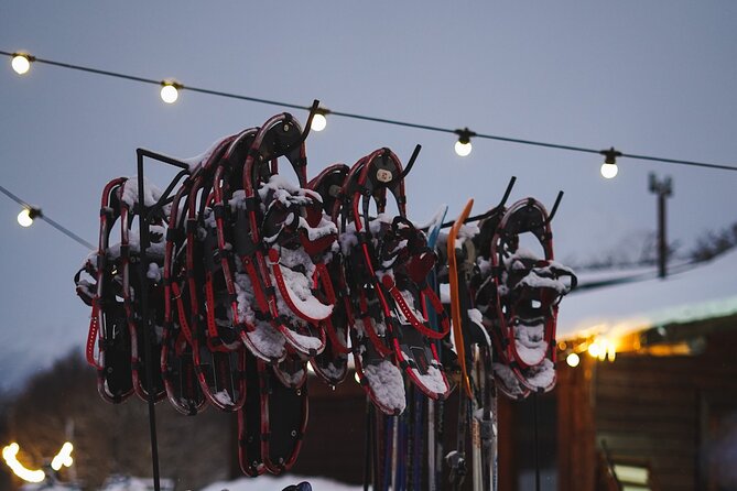 Ushuaia Night Adventure: Snowshoeing and Snowmobiling - Participant Requirements