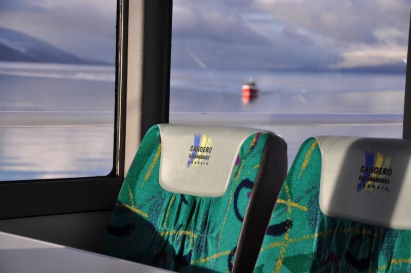 Ushuaia: Penguin Watching Tour by Catamaran - Key Points