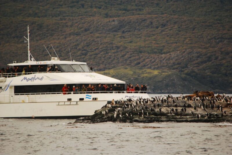 Ushuaia: Penguin Watching Tour by Catamaran - Guided Experience and Accessibility