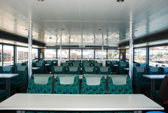 Ushuaia: Penguin Watching Tour by Catamaran - Discovering Martillo Island