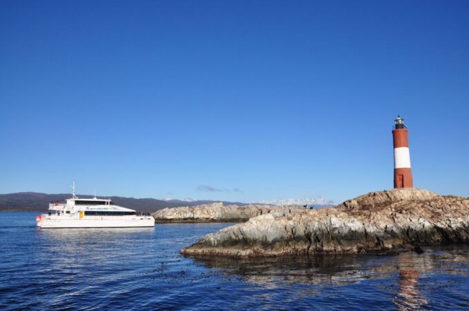 Ushuaia: Penguin Watching Tour by Catamaran - Diverse Seabird Encounters