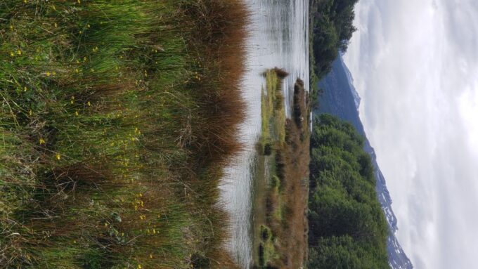Ushuaia: Private Tour Tierra Del Fuego National Park - Frequently Asked Questions
