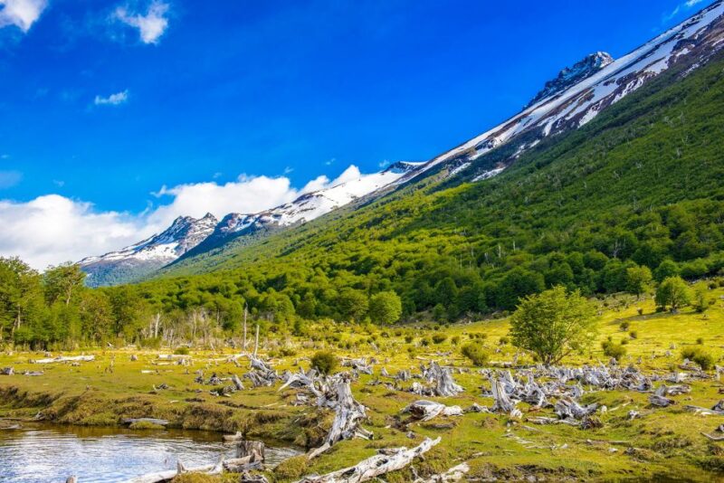 Ushuaia: Shared Experience Tierra Del Fuego National Park - Key Points