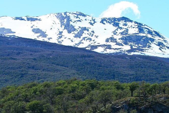 Ushuaia Shore Excursion: Private Tour of Tierra Del Fuego National Park - Tour Overview and Highlights