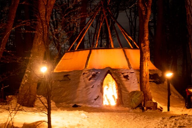 Ushuaia: Snow & Fire: Dog Sled and Snowshow By Night - Snowshoeing Through the Night