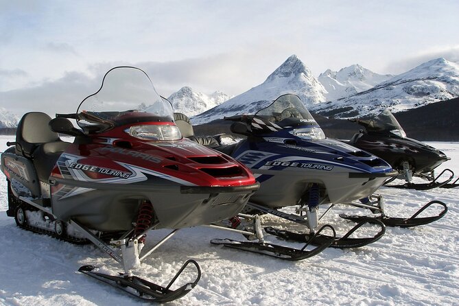 Ushuaia: Snow & Fire: Dog Sled and Snowshow By Night - Culinary Delights by the Stove