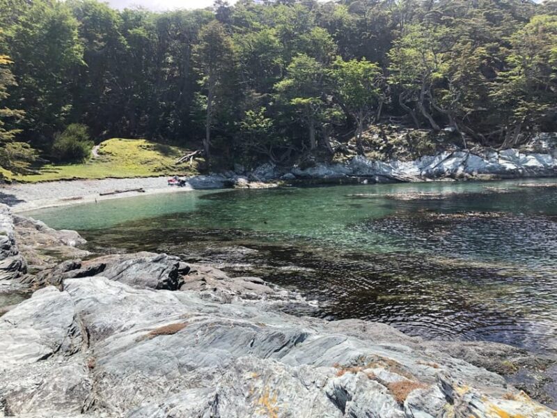 USHUAIA: TIERRA DEL FUEGO NATIONAL PARK FOR CRUISE-SHIP PASSENGERS (REGULAR TOUR) - Explore the Parks Flora and Fauna