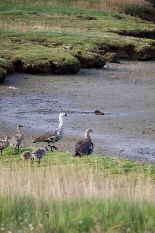 USHUAIA: TIERRA DEL FUEGO NATIONAL PARK FOR CRUISE-SHIP PASSENGERS (REGULAR TOUR) - Short Walks in Diverse Environments