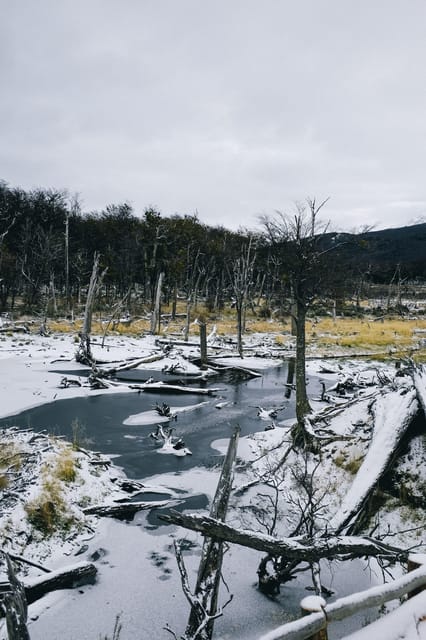 USHUAIA | Tierra Del Fuego National Park & Optional Train - Itinerary and Activities