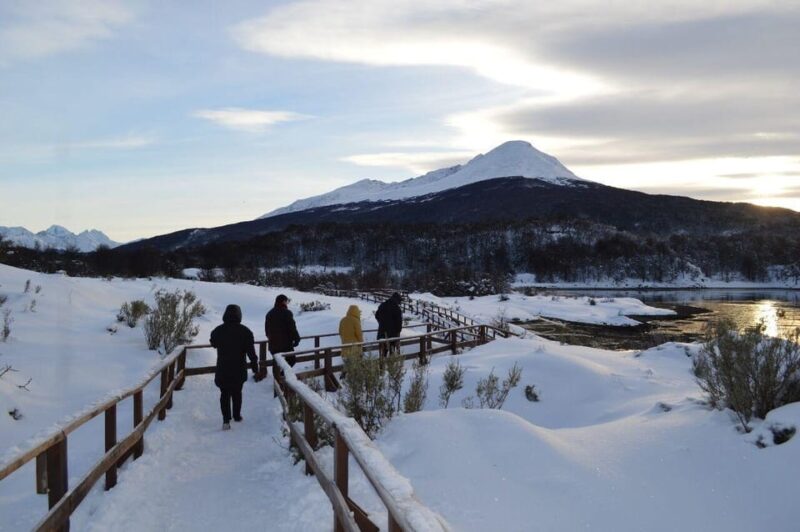 Ushuaia: Tierra Del Fuego National Park Tour - Itinerary Highlights