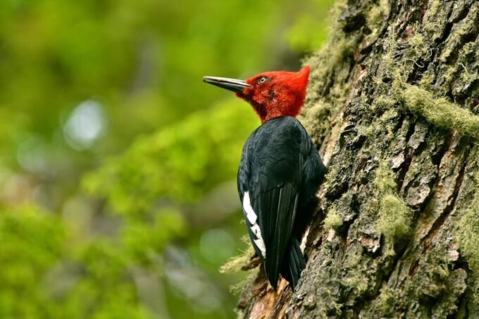 Ushuaia: Tierra Del Fuego National Park Tour - Customer Reviews