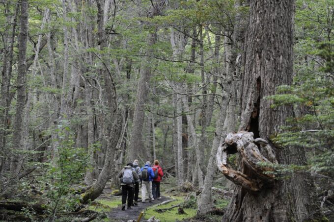 Ushuaia: Tierra Del Fuego Trekking and Canoeing - Group Size and Languages