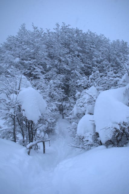 USHUAIA | Trekking Emerald Lagoon - Important Information