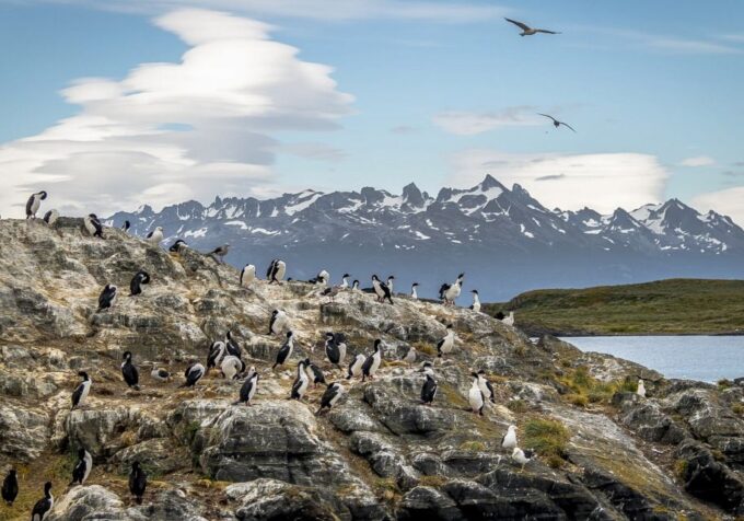 Ushuaia: Two-Day Trip to Tierra Del Fuego & Beagle Channel - Customer Reviews and Ratings