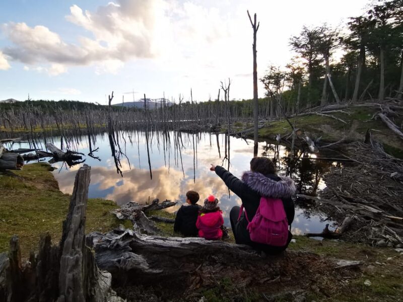 Ushuaia: Visit to Escondido and Fagnano Lakes PM - Itinerary and Highlights