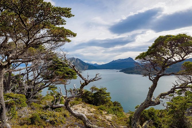 Ushuaia: Visit to the National Park and End of the World Train - Pickup and Meeting Details