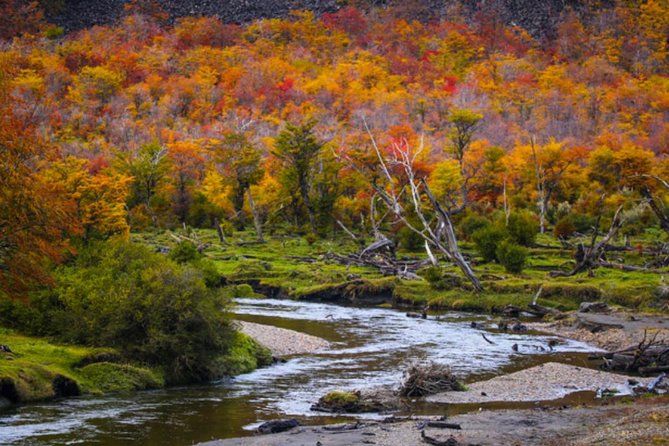 Ushuaia: Visit to the National Park and End of the World Train - Booking and Confirmation