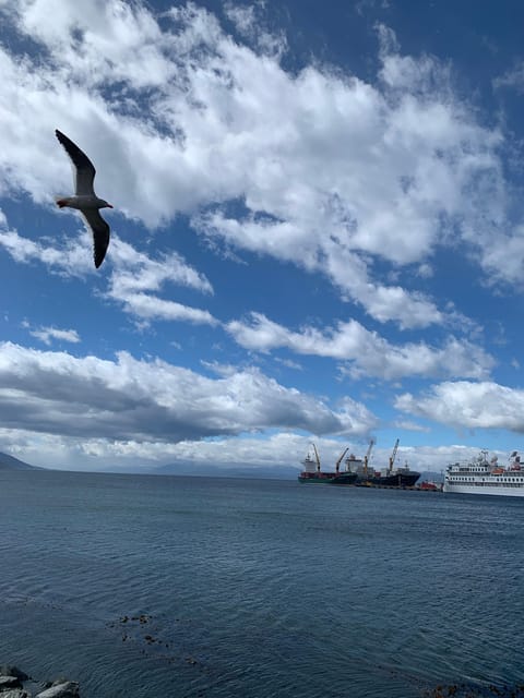 Ushuaia: Where Adventures Meet the End of the World - Historical and Cultural Insights