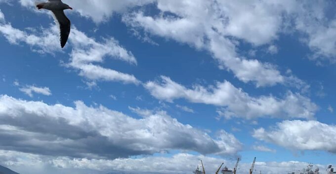 Ushuaia: Where Adventures Meet the End of the World - Indigenous Tribes and Local History