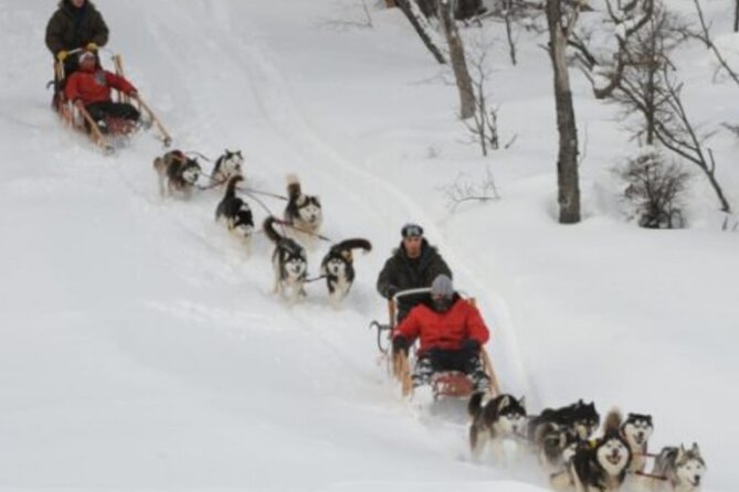 Ushuaia: White Adventure in Sleighs With Huskys - Overview of the Experience
