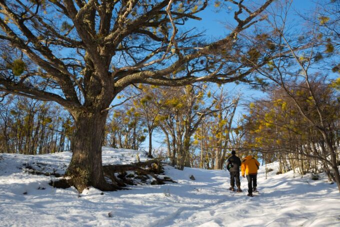 Ushuaia: Winter Tierra Del Fuego Hiking and Canoeing Tour - Customer Reviews