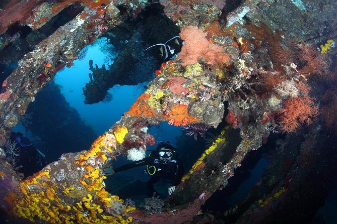 USS Liberty Shipwreck Scuba Diving at Tulamben Bali - Included in the Tour