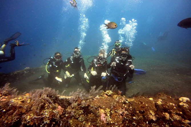 USS Liberty Shipwreck Scuba Diving at Tulamben Bali - Booking and Confirmation