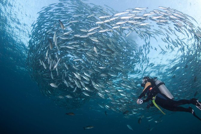 USS Liberty Shipwreck Scuba Diving at Tulamben Bali - Tour Duration and Group Size