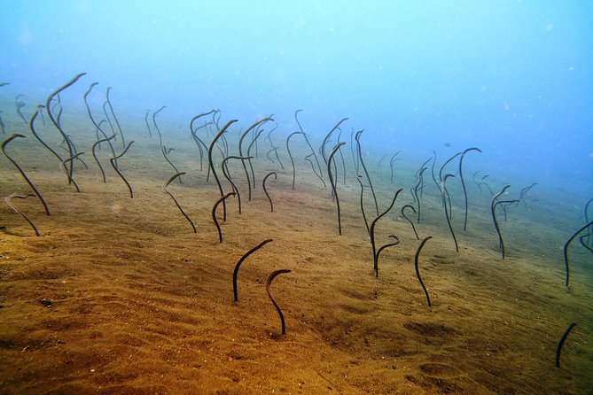 USS Liberty Wreck Small-Group Snorkeling Tour With Lunch  - Kuta - Nearby Attractions and Kuta Offerings
