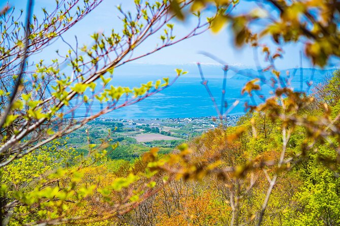 Usuzan Volcano Guided Hiking Private Tour - Physical Fitness Requirement