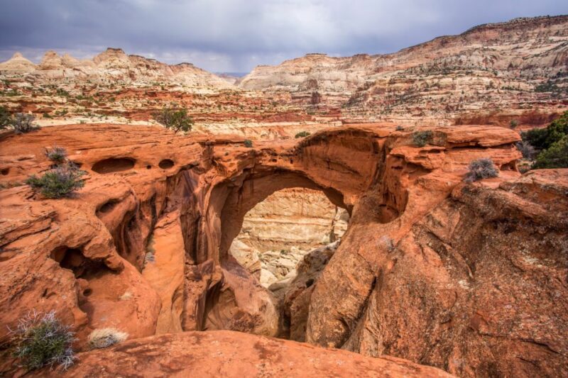 Utah: Capitol Reef National Park Self-Driving Audio Tour - Customer Feedback and Ratings