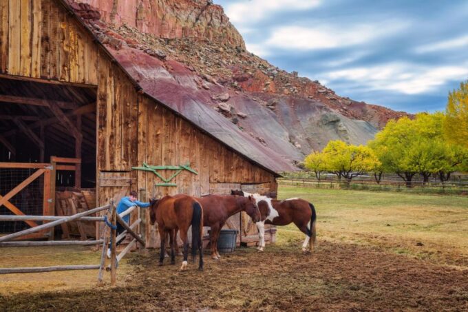 Utah: Mighty 5 National Parks Self-Driving Audio Tour - Flexible Booking and Validity