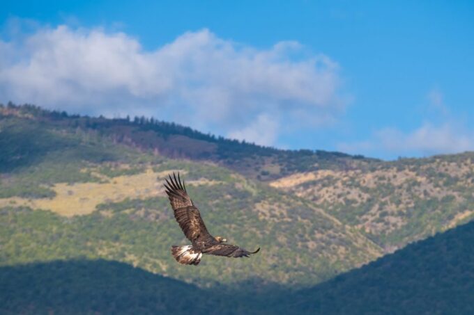 Utah: The Grand Circle Self-Guided Driving Tour Bundle - Frequently Asked Questions