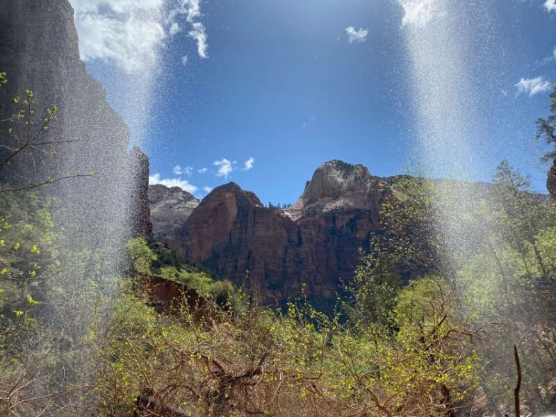 Utah: Zion National Park Half-Day Hike With Picnic - Highlights and Learning Opportunities