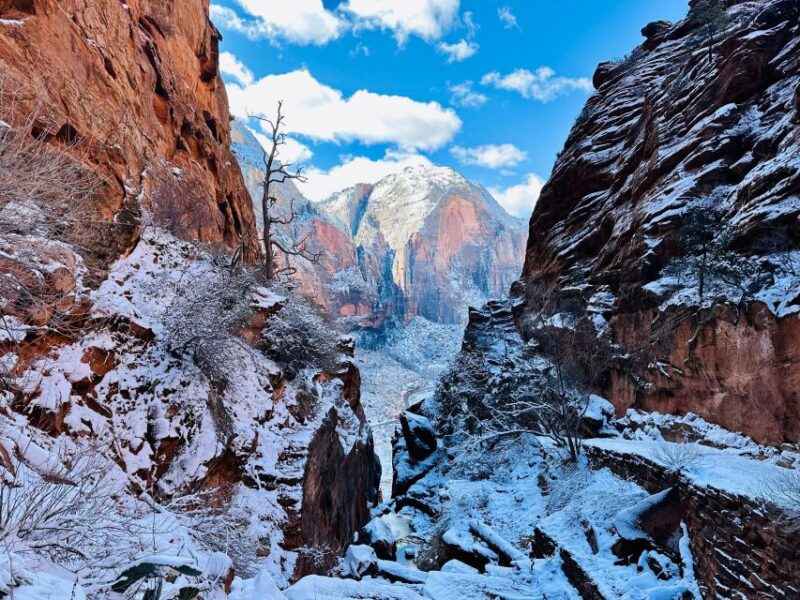 Utah: Zion National Park Half-Day Hike With Picnic - Inclusions and Costs