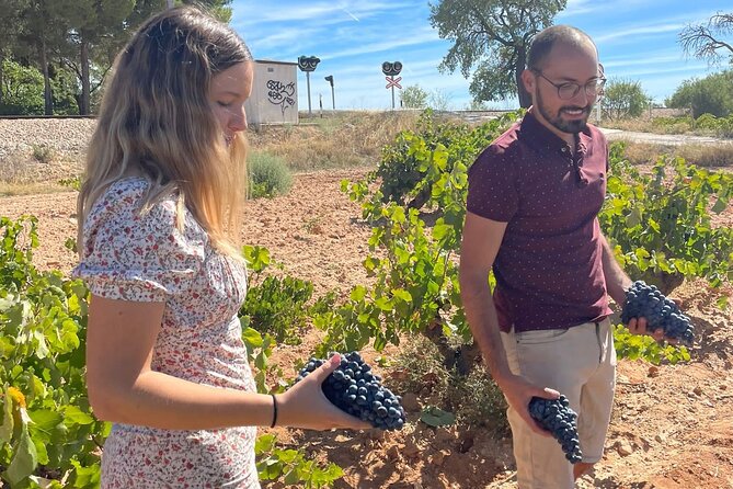 Utiel-Requena Excursion: Uncover the Flavors of Valencias Wine - Key Points