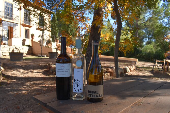 Utiel-Requena Excursion: Uncover the Flavors of Valencias Wine - Health and Safety Information