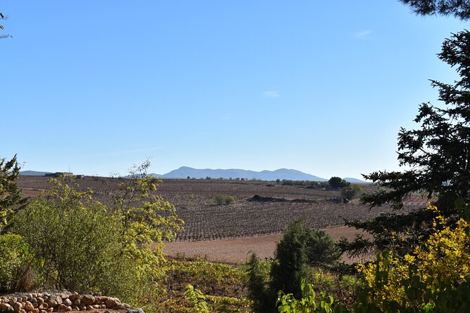 Utiel-Requena Excursion: Uncover the Flavors of Valencias Wine - Booking Information