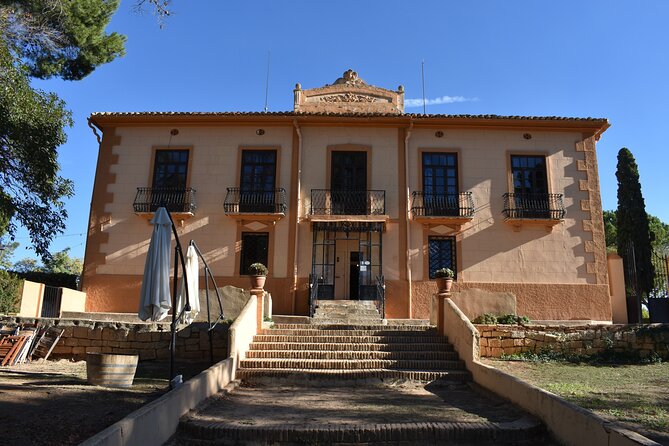 Utiel-Requena Excursion: Uncover the Flavors of Valencias Wine - Reviews and Ratings