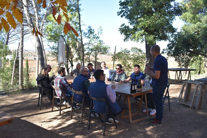 Utiel-Requena Excursion: Uncover the Flavors of Valencias Wine - Explore Utiel-Requenas Wine Region