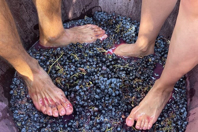 Utiel-Requena Excursion: Uncover the Flavors of Valencias Wine - Frequently Asked Questions